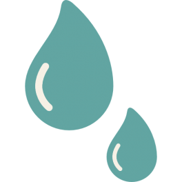 Agua Roca Azul de León Icon